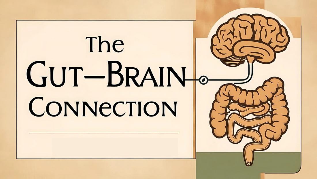 The Gut-Brain Connection: How Gut Health Impacts Your Mood